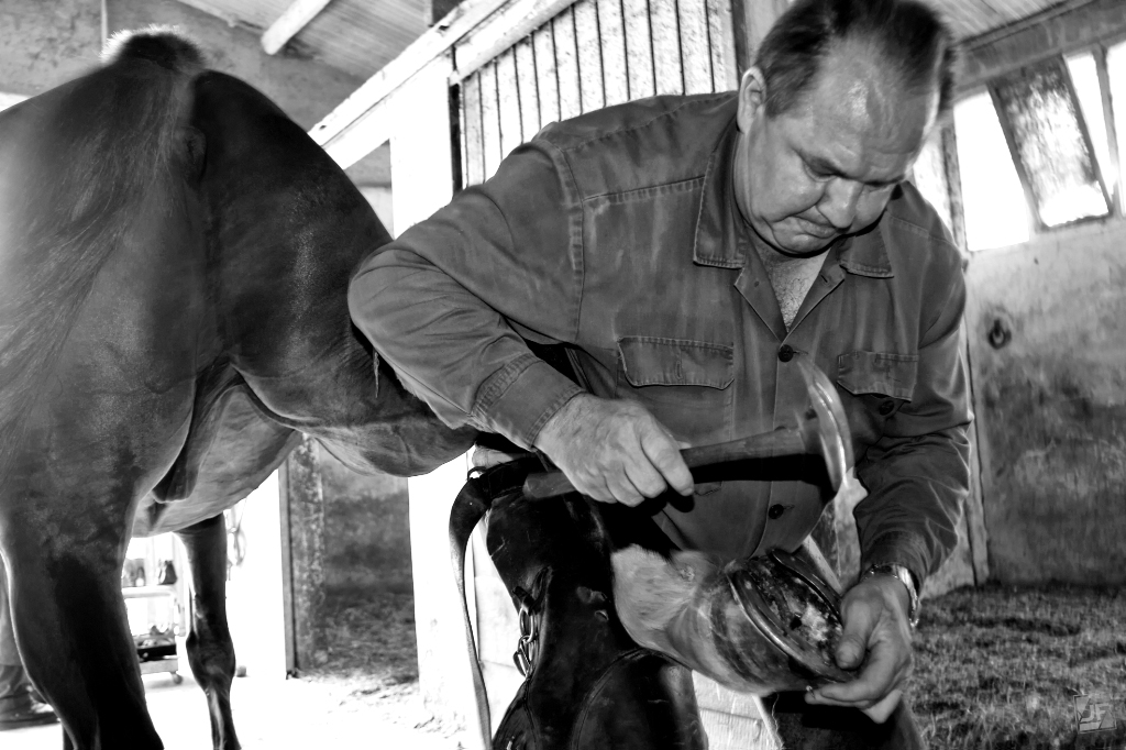 Work and workers preview