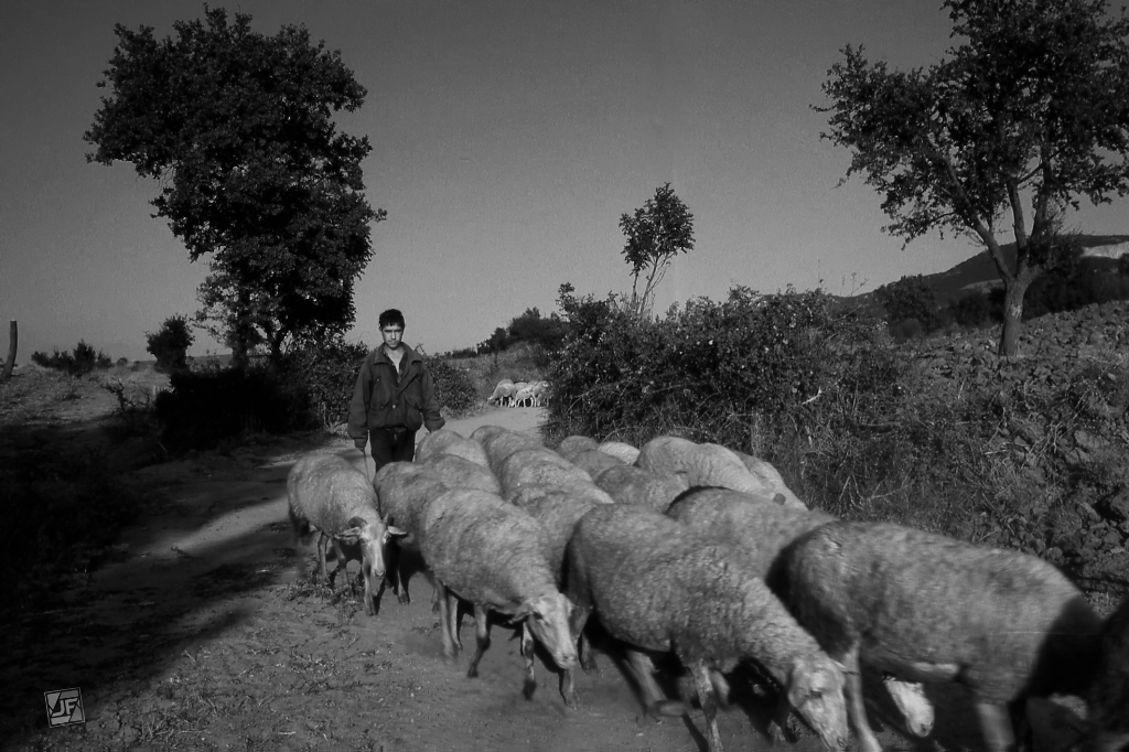 Work and Workers preview 4