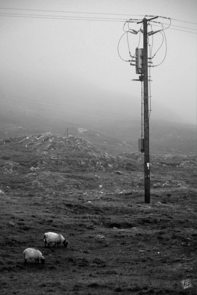 Black and White preview 3