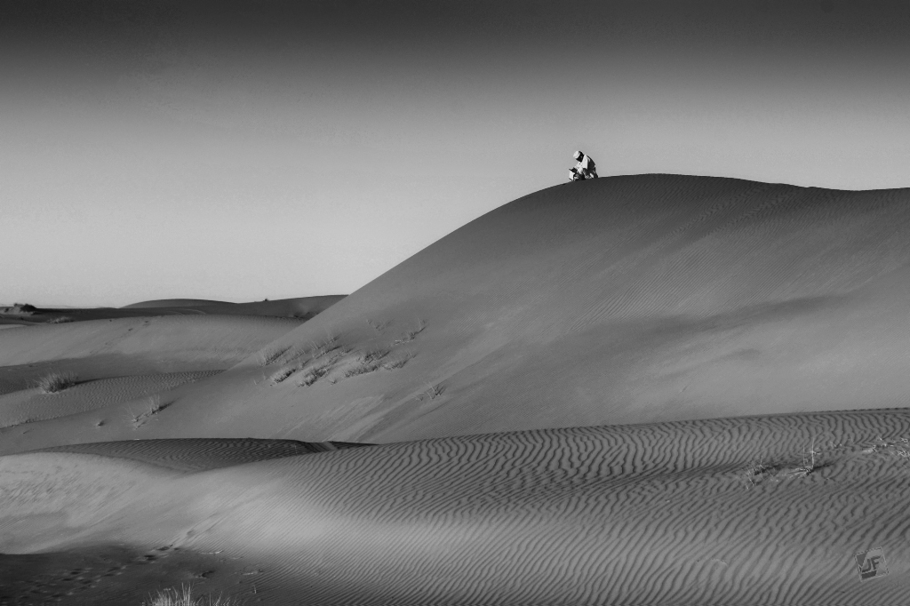 Black and White preview 8