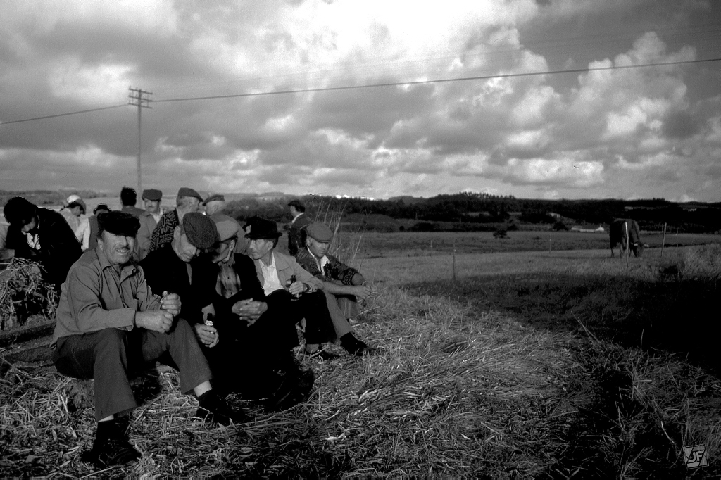 Black and White preview 4